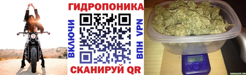 Цена Выкса Галлюциногенные грибы МЕФ Амфетамин ГАШИШ Alpha-PVP Канабис