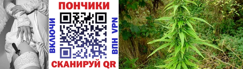 Бошки Шишки индика  магазин  наркотиков  Выкса 